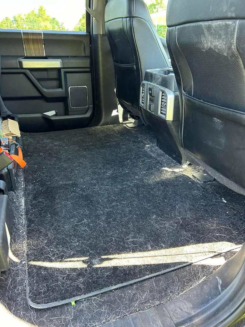 Before — truck rear carpet matted with pet hair
